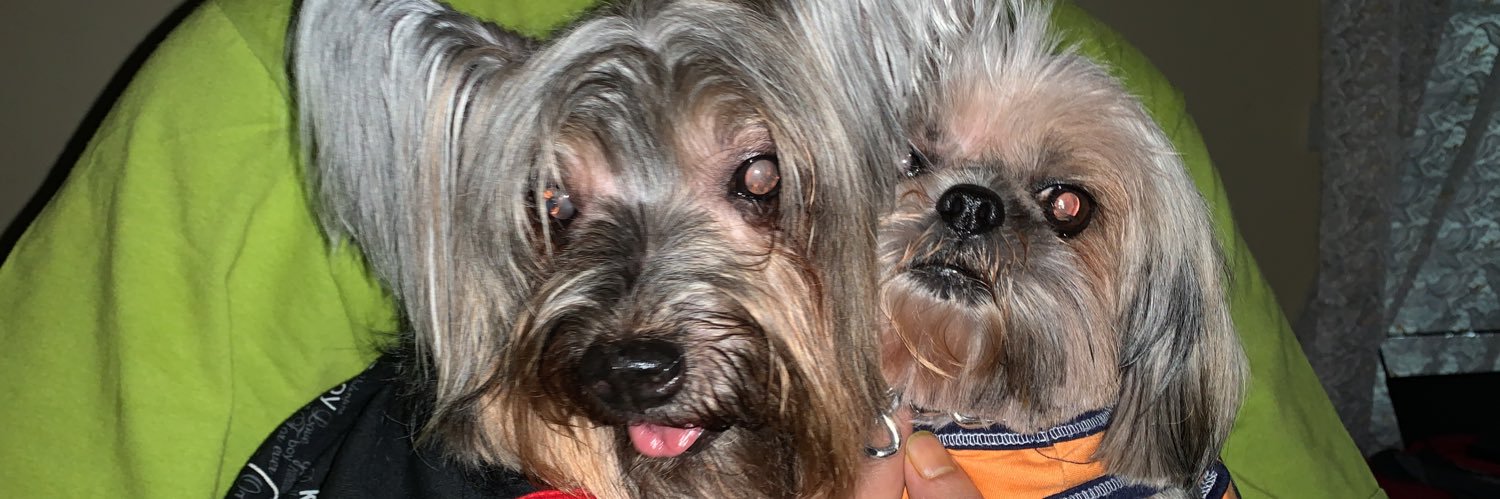 rxchellian's profile banner image