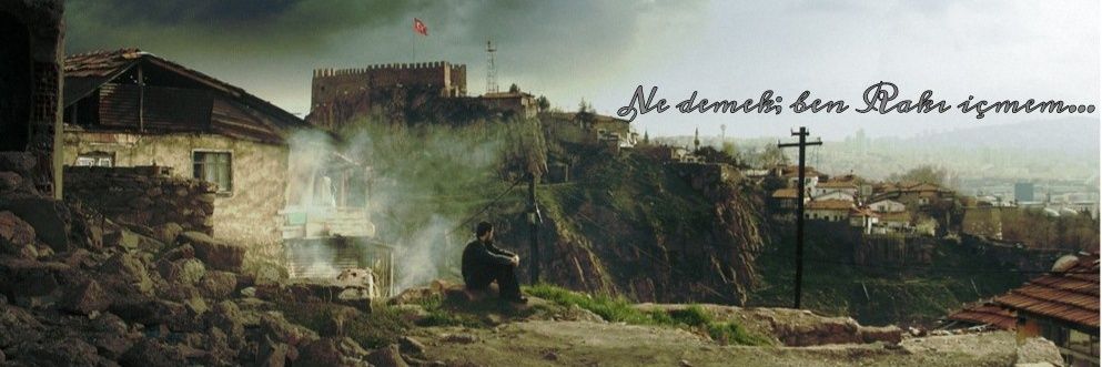 Caliskmu's profile banner image