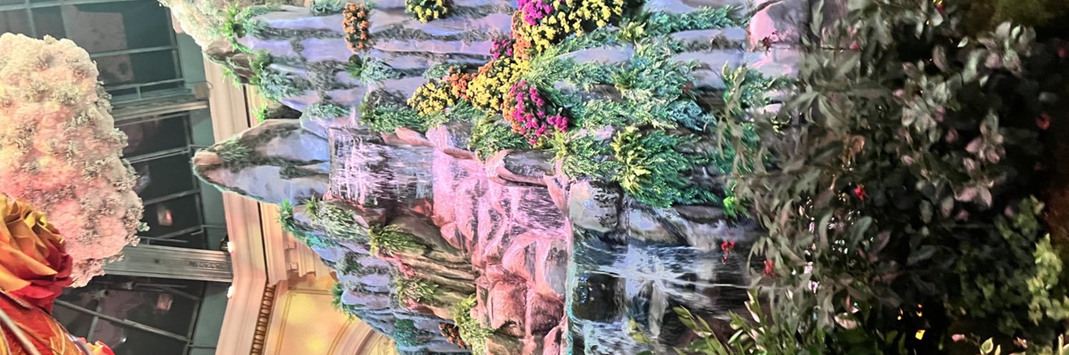 myspaceamor's profile banner image