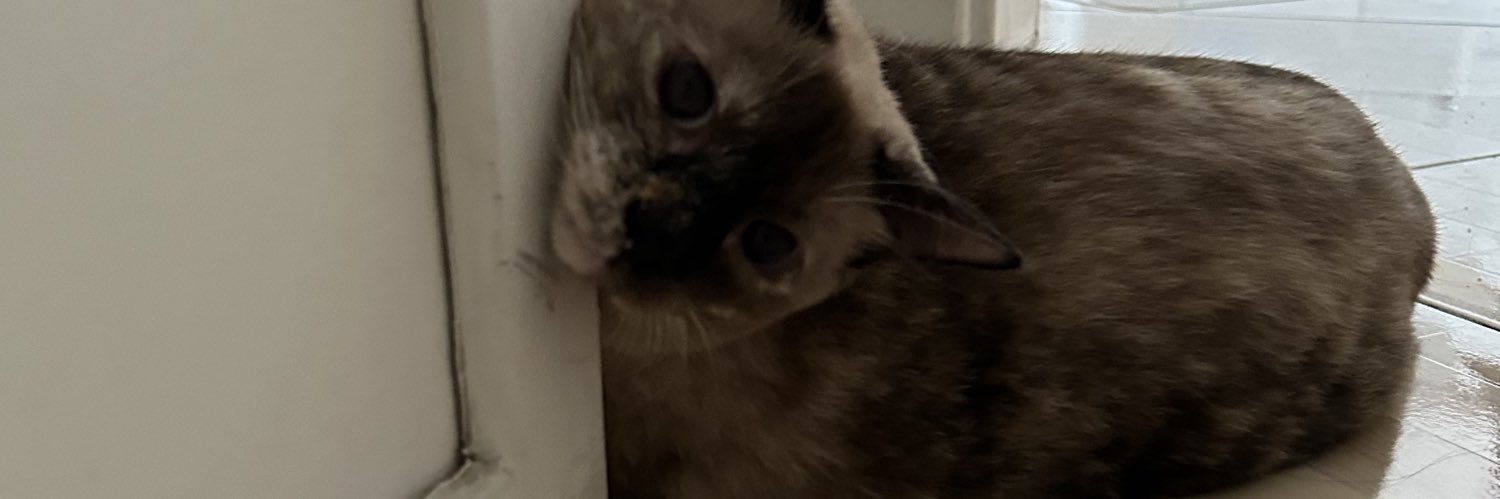 evlsb_'s profile banner image