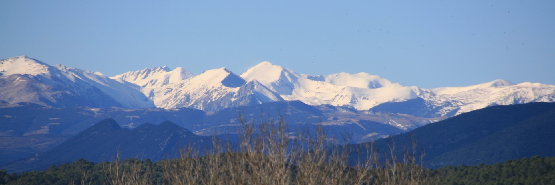 Andreu Canals banner