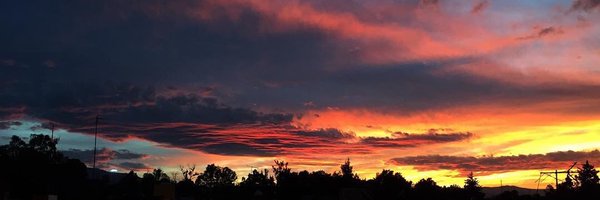 chuchelas Profile Banner