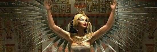 Said Fouda banner