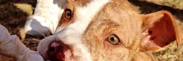 ButtiFran's profile banner image