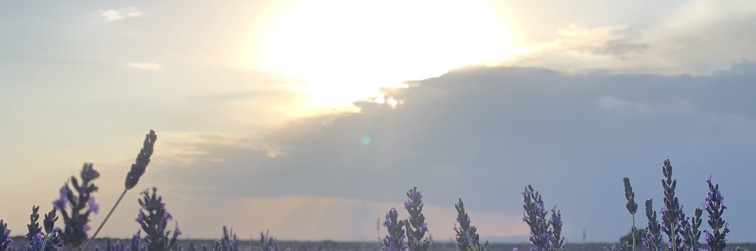 sade_roig's profile banner image