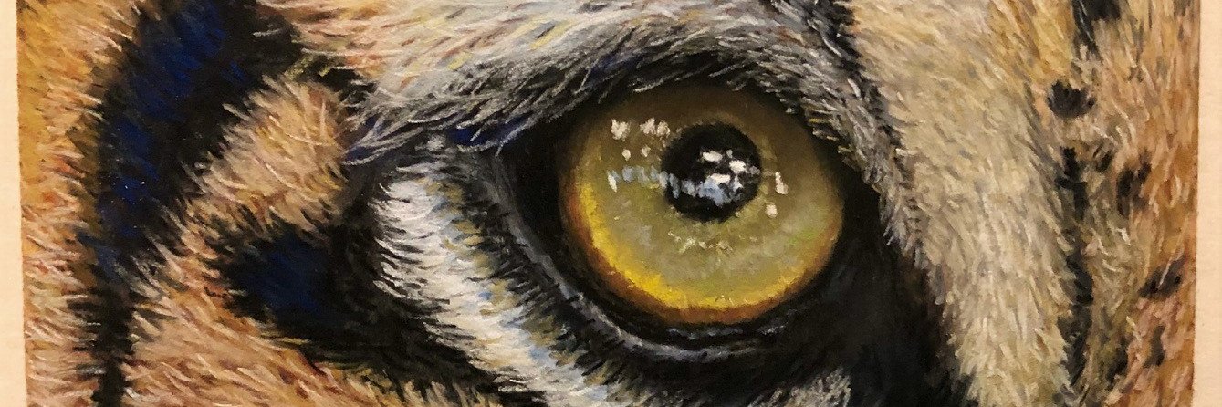 TreeT🇨🇦 banner