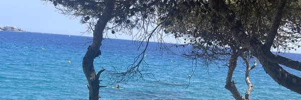 Concepcioveray Profile Banner