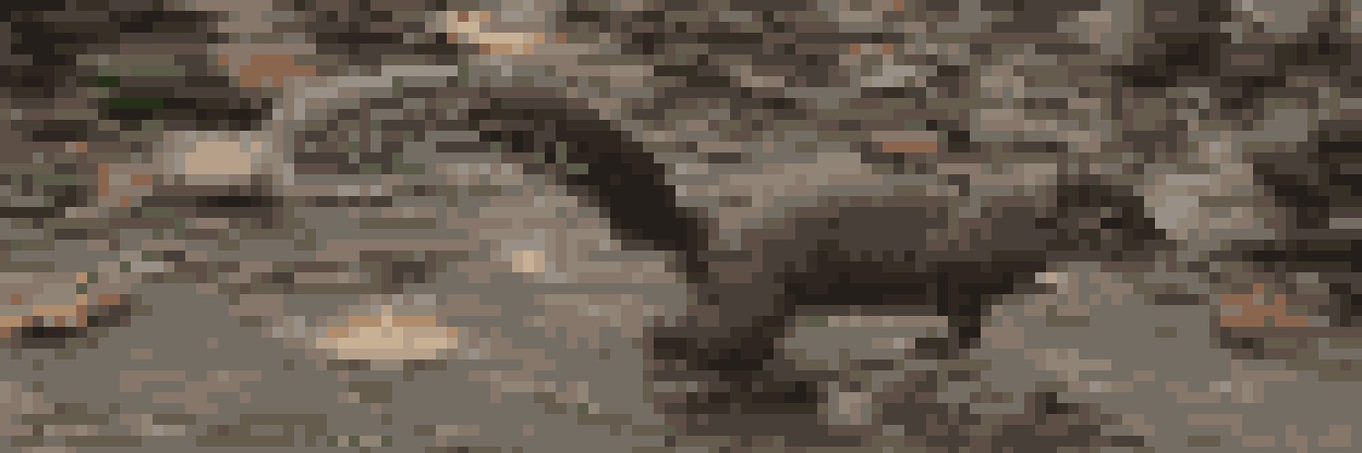sosuke110's profile banner image