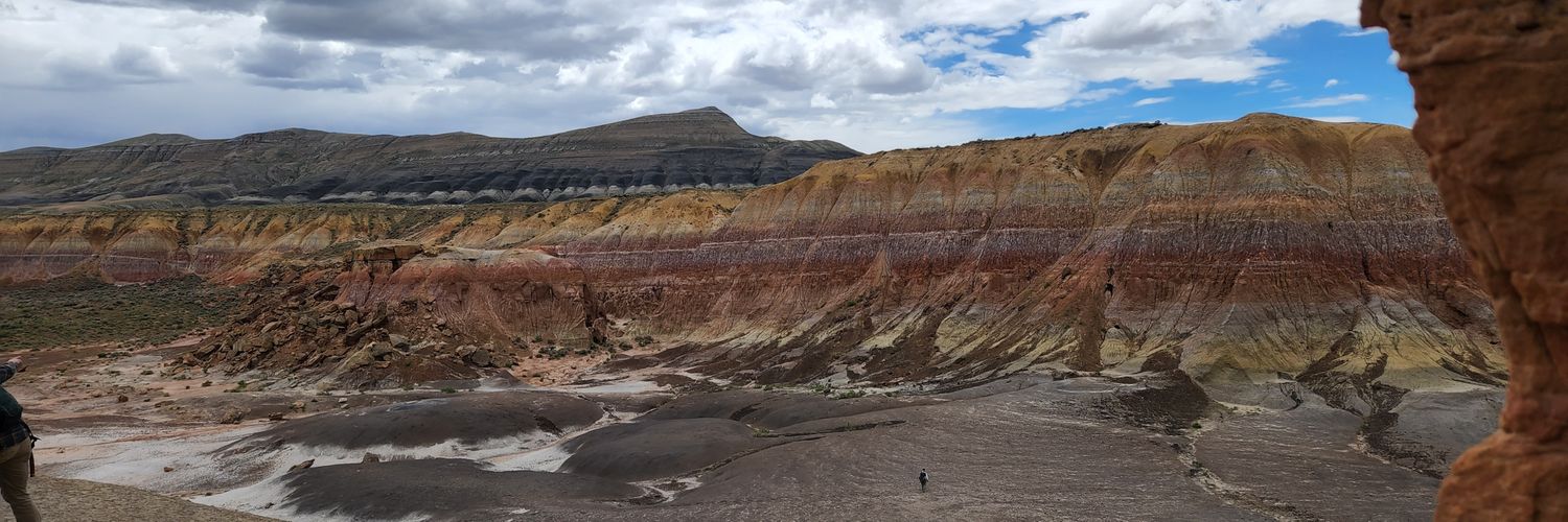 Lynnea Jackson banner