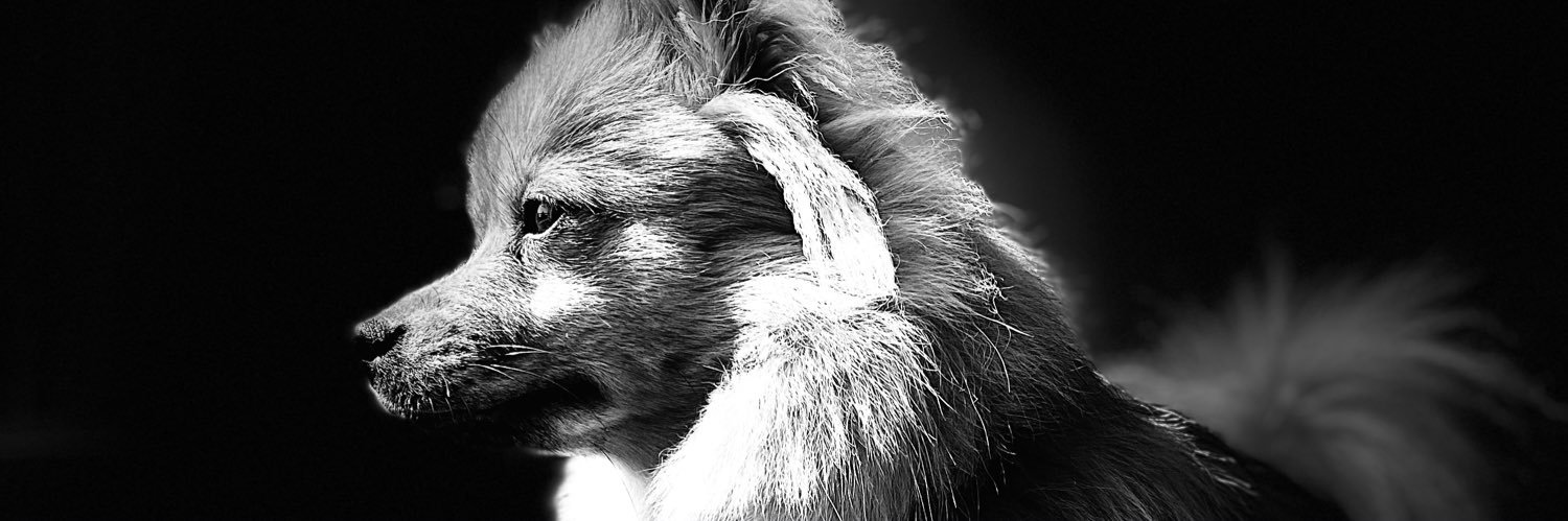pemerpan's profile banner image