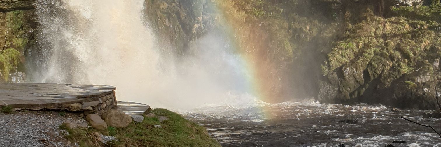 PaulWhitaker11's profile banner image