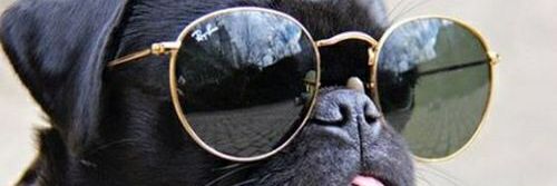Annelyn03's profile banner image