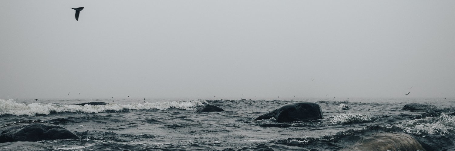 Stolencoat's profile banner image