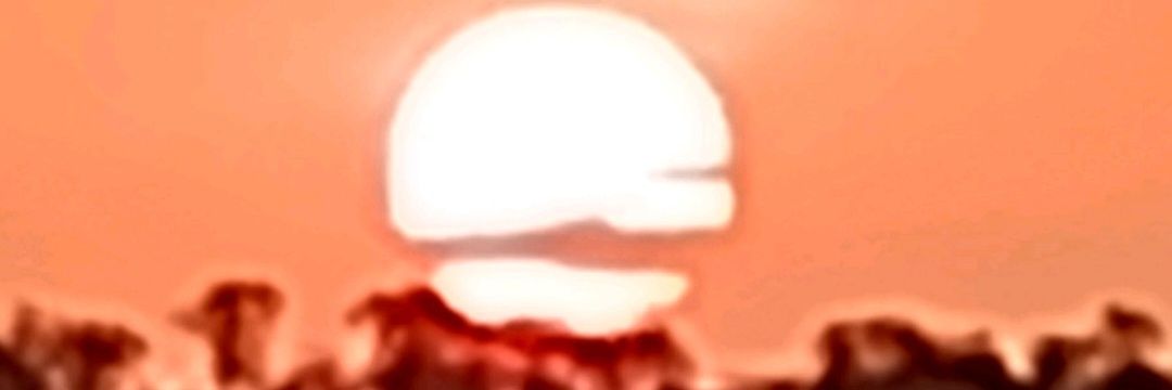 PAUPOMODORO's profile banner image