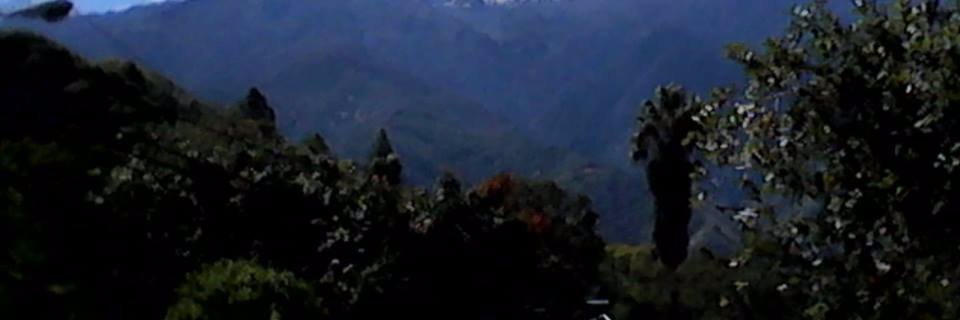 eluzmaga's profile banner image