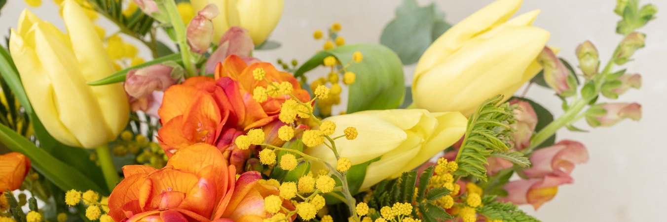 Ode à la Rose banner