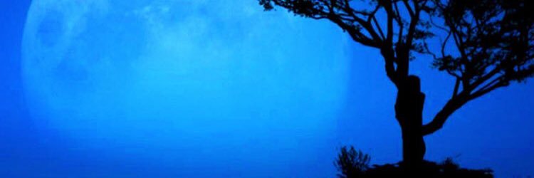 houseofbrown's profile banner image