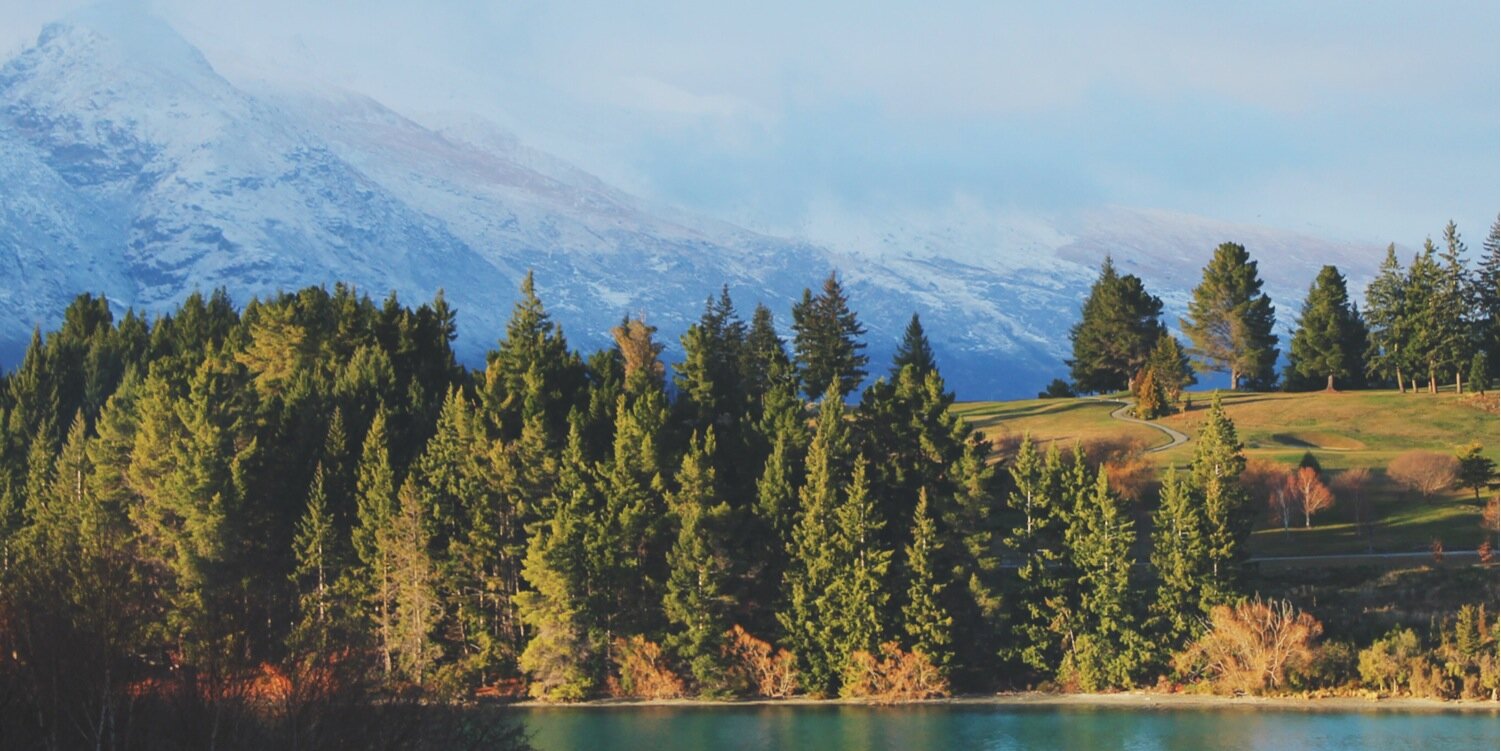 MaddisonLeach's profile banner image