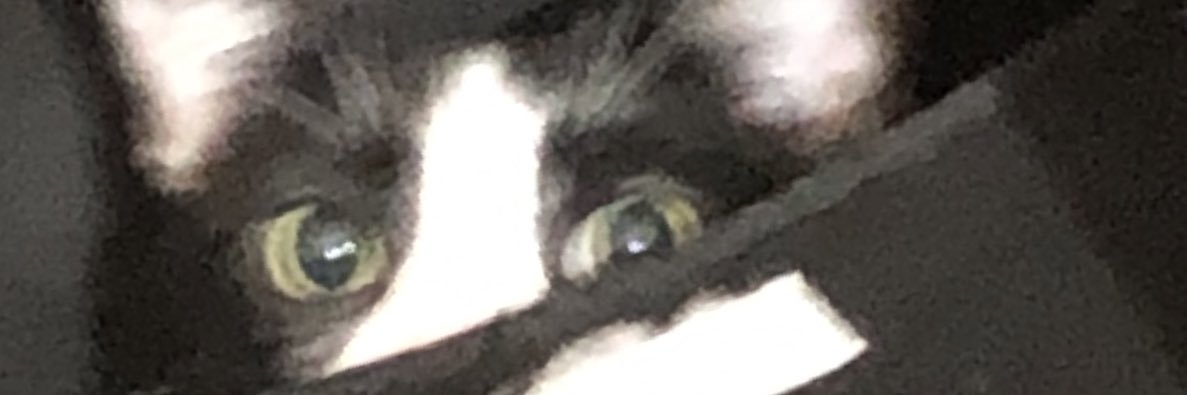 ProBullzEye's profile banner image