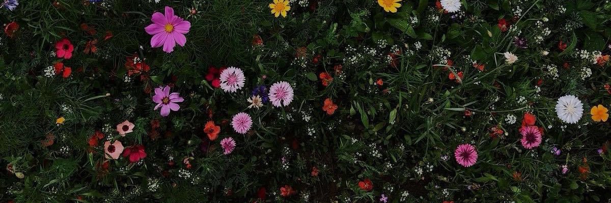 imnnnx's profile banner image