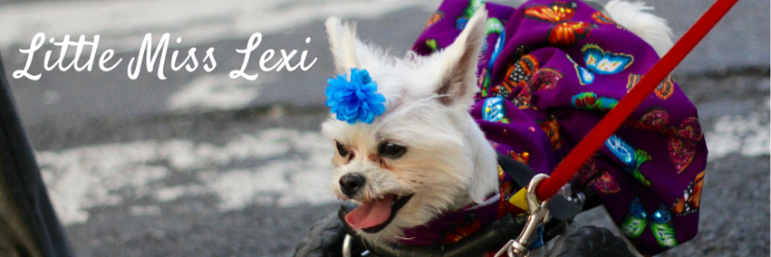 LittleMissLexi8's profile banner image