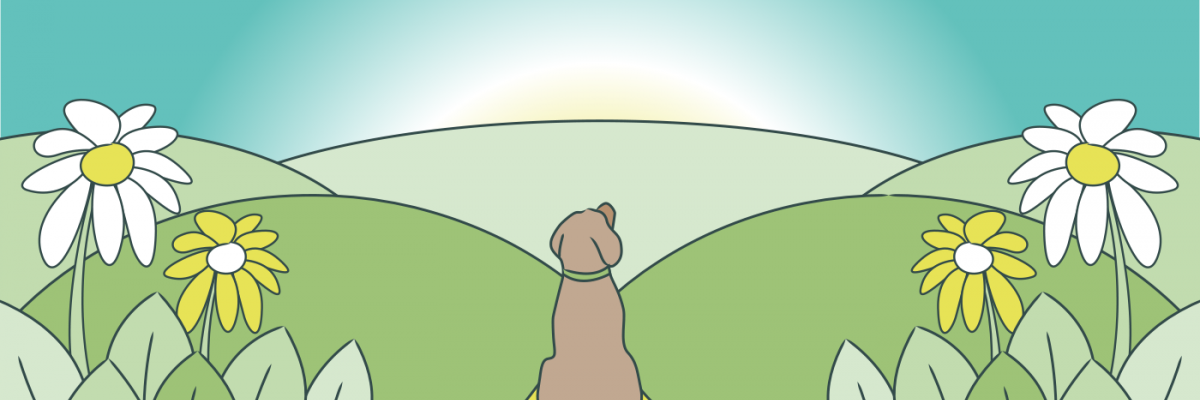 doghairday's profile banner image