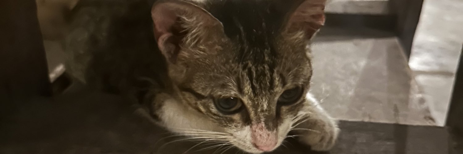 giwgil16's profile banner image