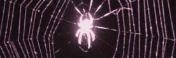 Andreaaisabel__'s profile banner image