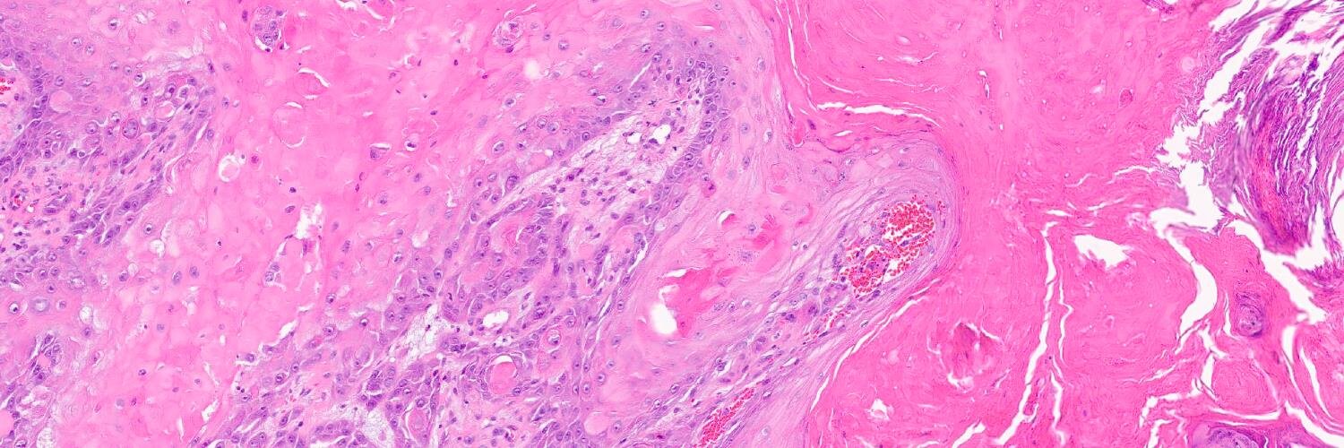 dermpathlab's profile banner image