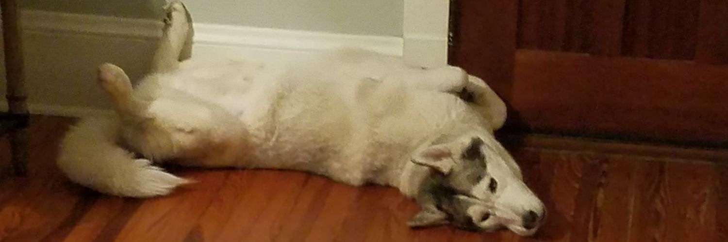 brainfevercomix's profile banner image