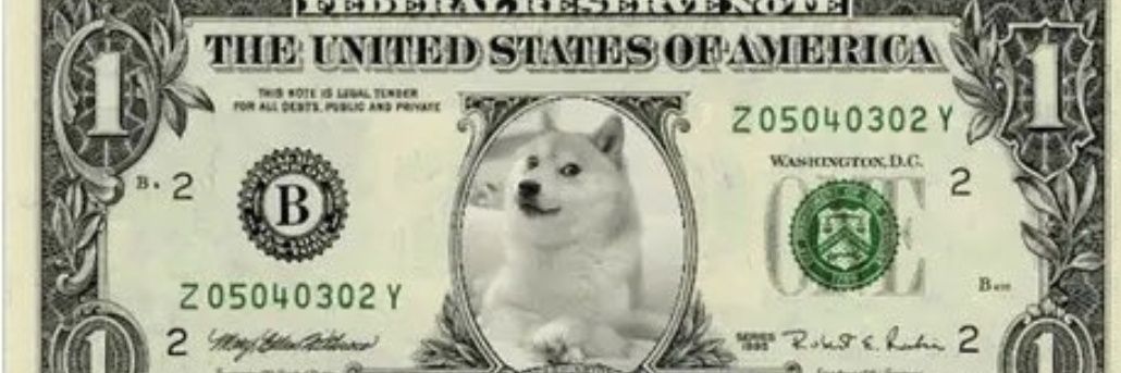 cesarbus04's profile banner image