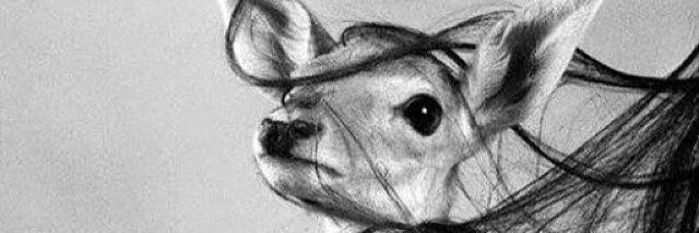 Kuniv_7la's profile banner image
