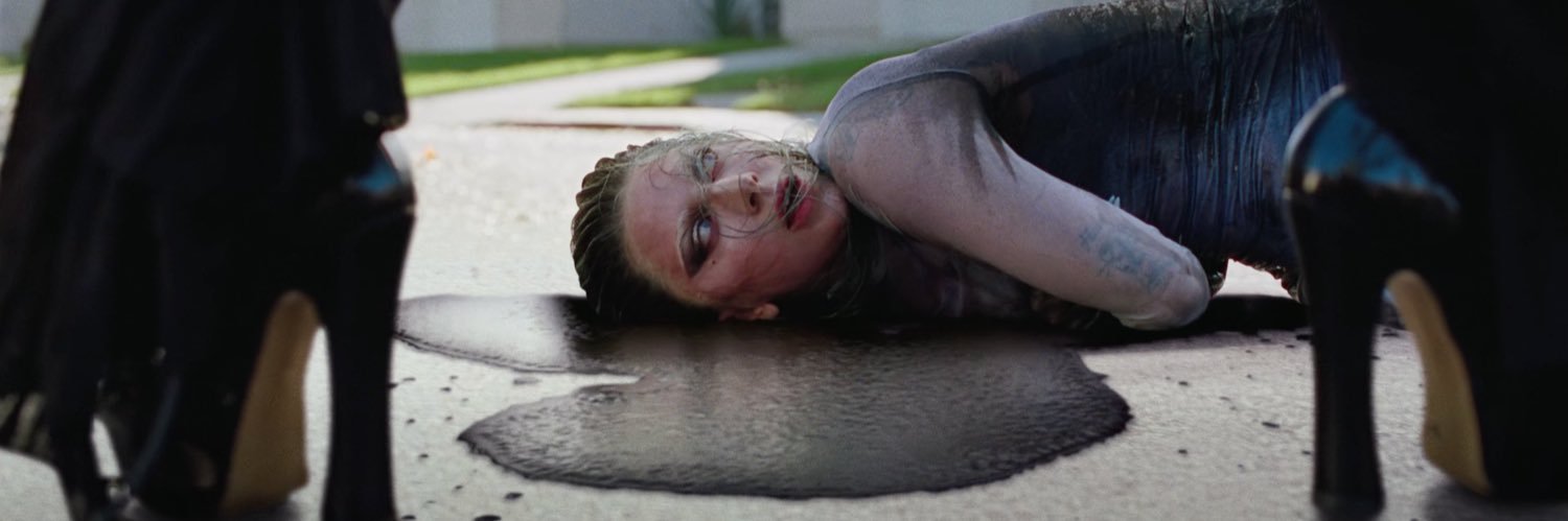 Lady Gaga Facts banner