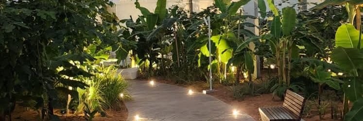 Radwaabdallah's profile banner image