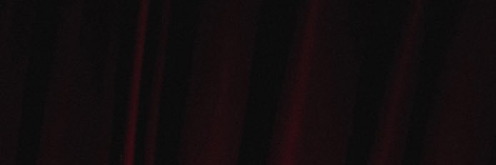 石井さやか sayaka ishii banner