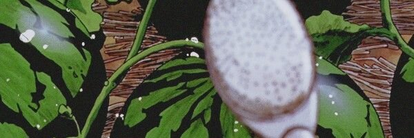 Sofía Vargas banner