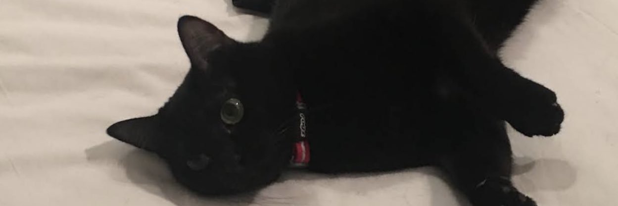 mikelcoll's profile banner image