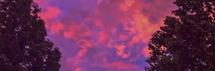 BrieeBooBear25's profile banner image