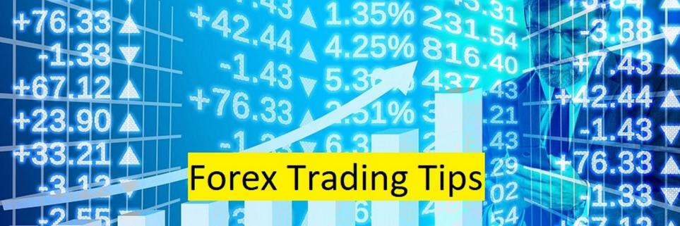 fxtradingtips22's profile banner image