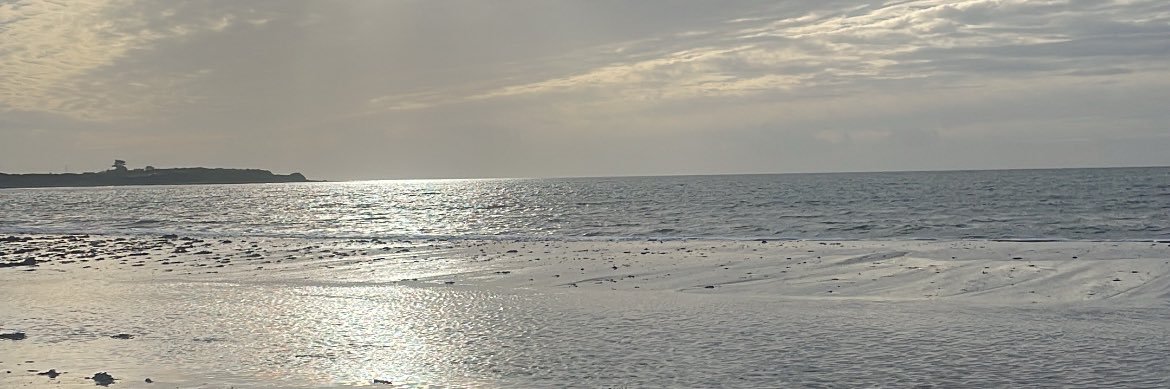 ell banner