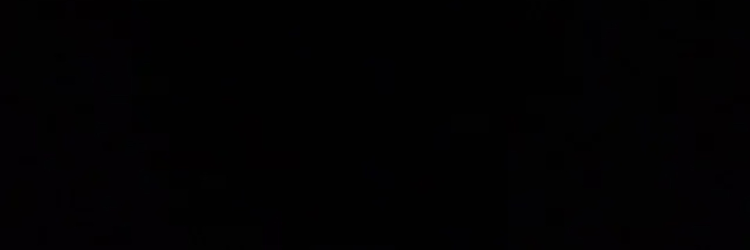LilyPrison's profile banner image