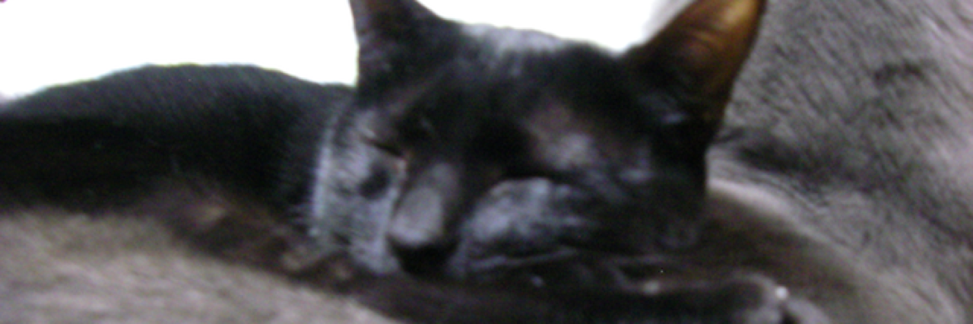 NonpeiUmeume's profile banner image