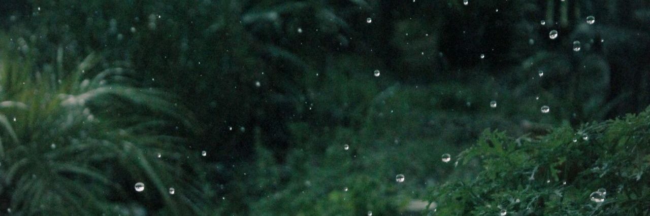 tropical__babe's profile banner image