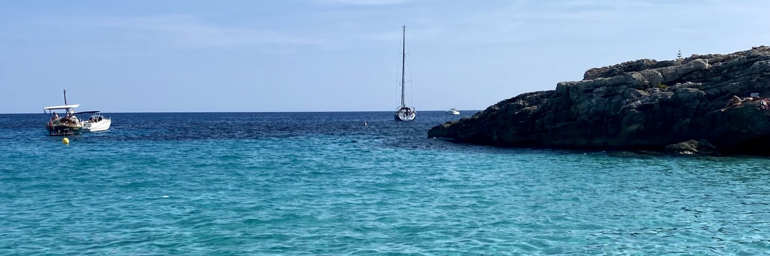 Laura Arribas banner