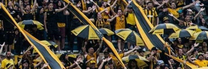 roxidani11's profile banner image