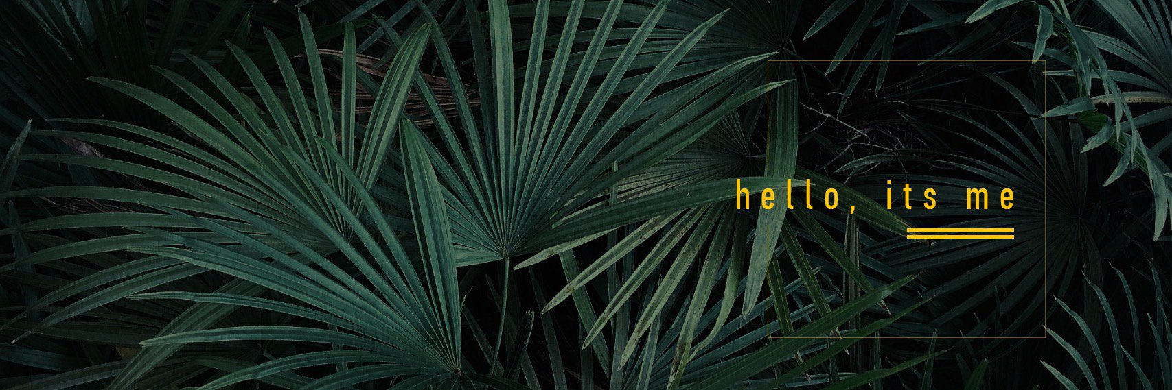 TONICANA's profile banner image
