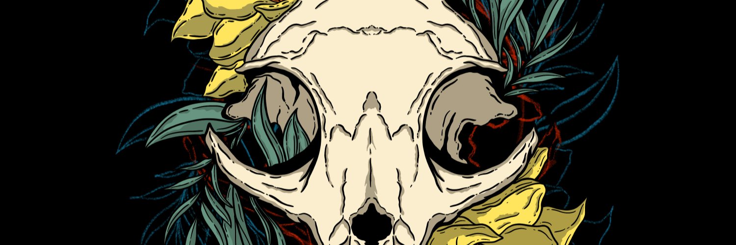 hayzuhe's profile banner image