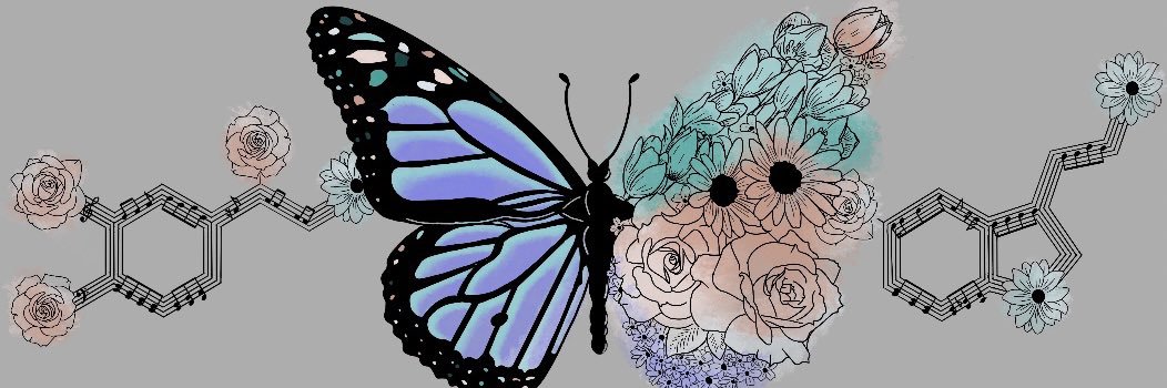 _reaganbrown_'s profile banner image