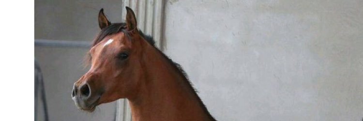 CgbbhC's profile banner image