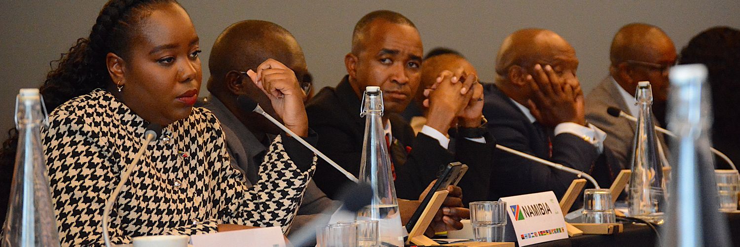 Nelson Tuhafeni Kalangula, MP banner
